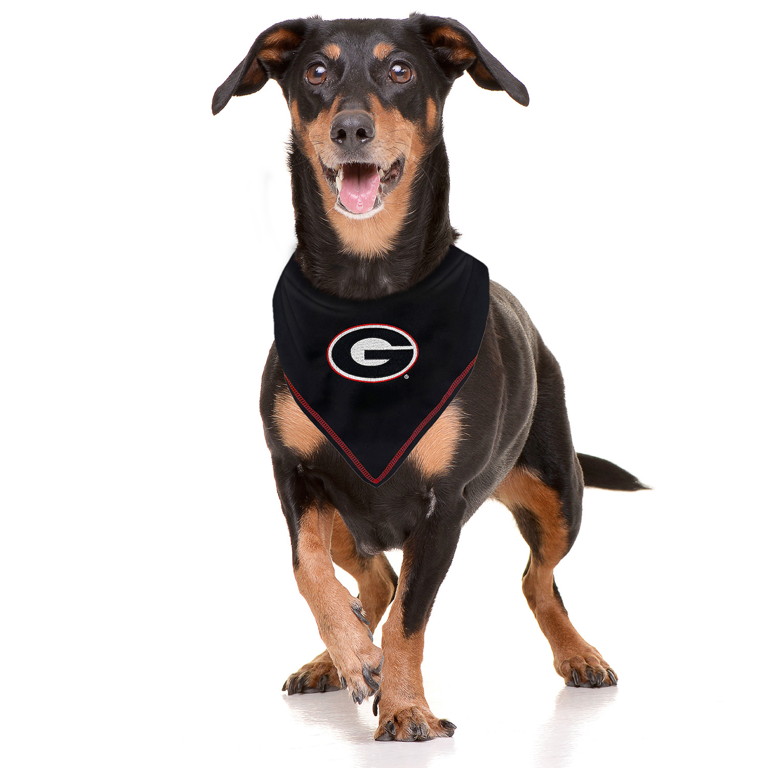 Pets First University Of Georgia Bulldogs Tie Around Dog Bandana, Small