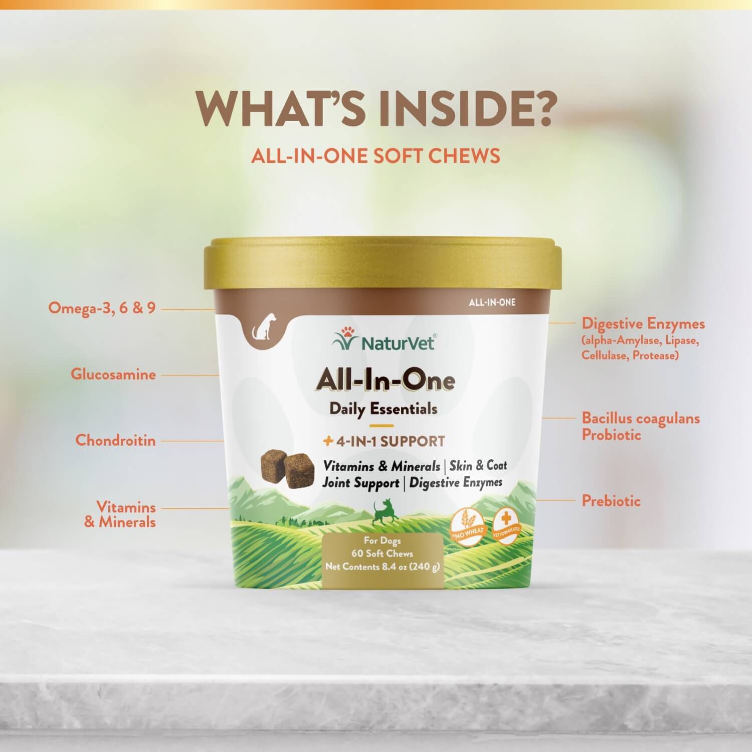 Naturvet All-In-One Vitamin Dog Soft Chews