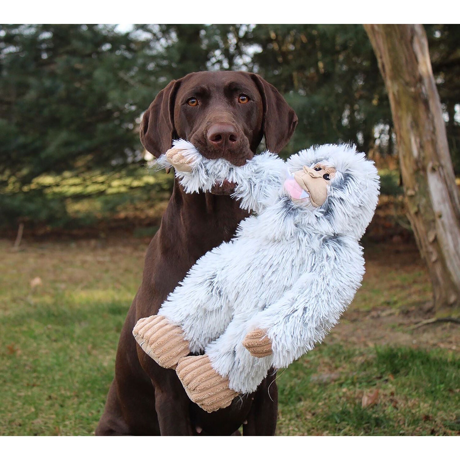 Tall Tails Yeti With Squeaker Durable Plush Dog Toy, 14"