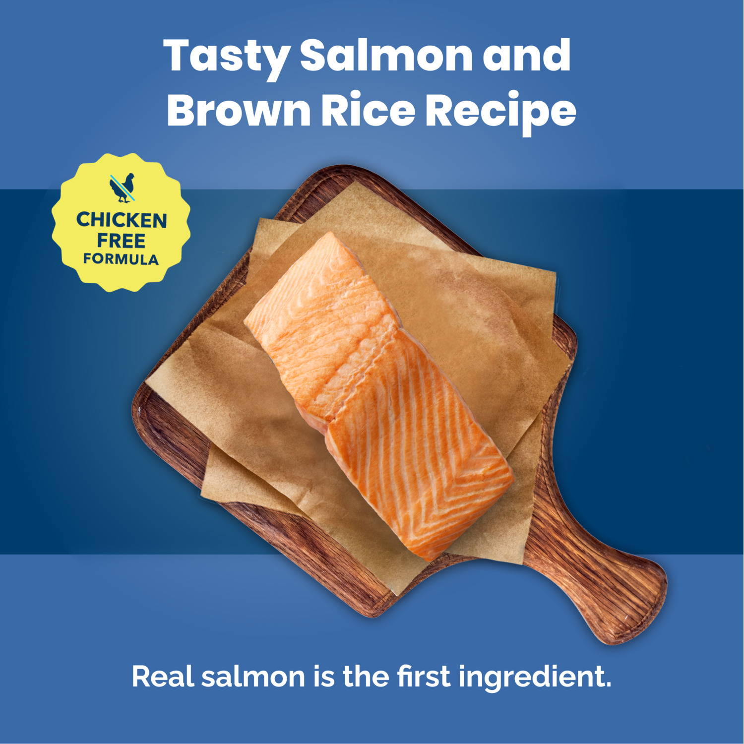 Blue Buffalo Life Protection Formula Adult Salmon & Brown Rice Recipe Dry Dog Food, 5Lb