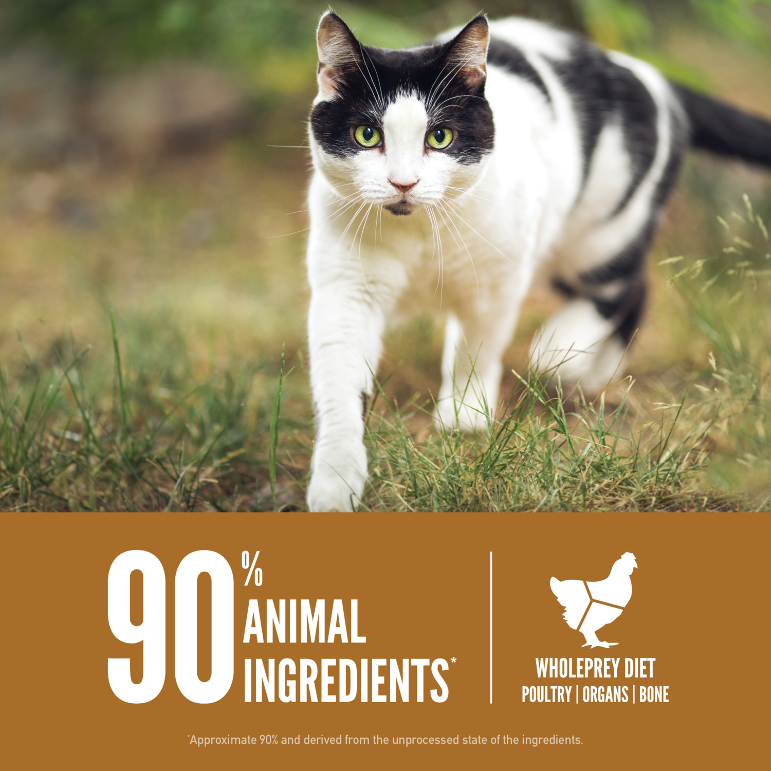 Orijen Original Cat Grain-Free High-Protein Dry Cat Food, 12-Lb Bag