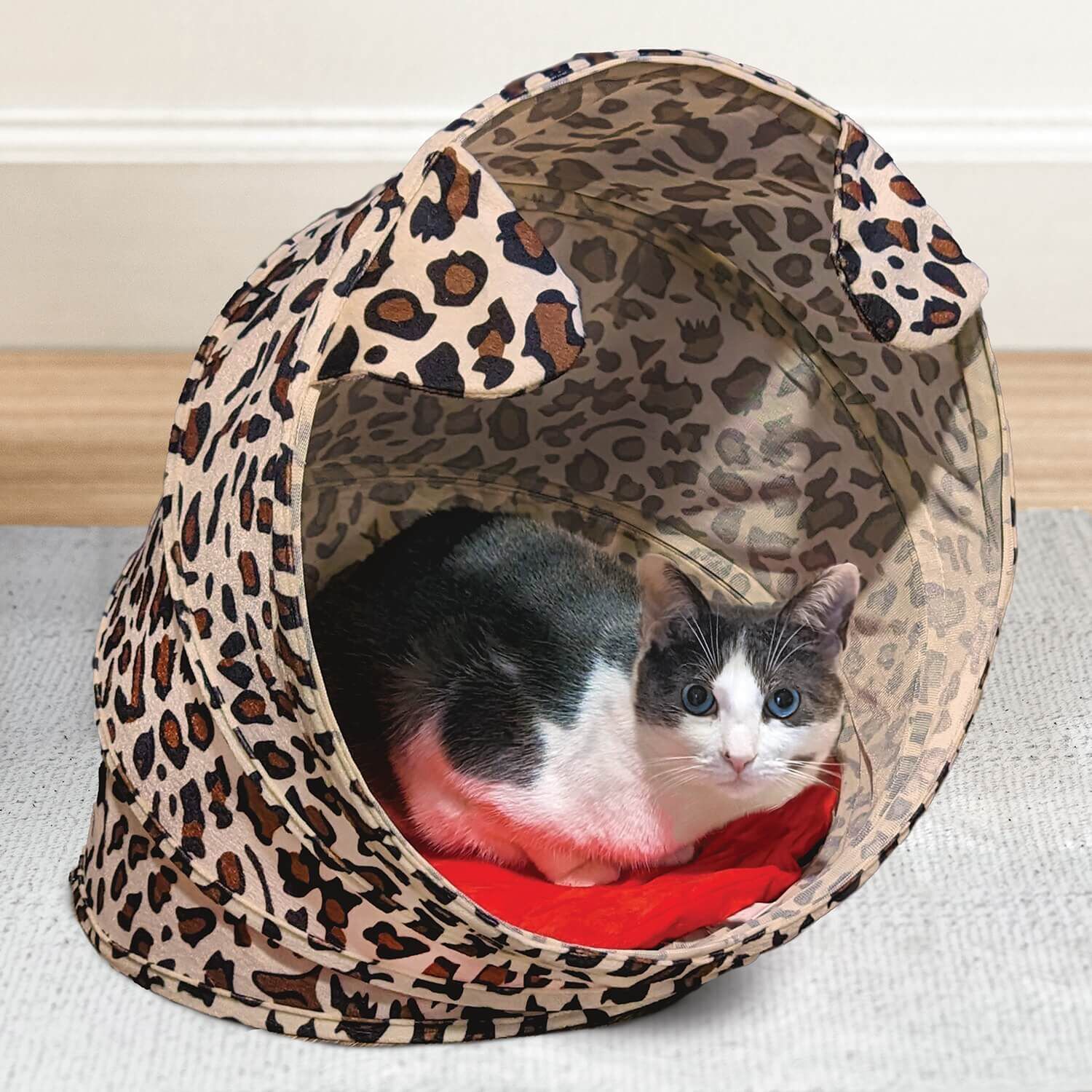 Kitty city hideaway sales