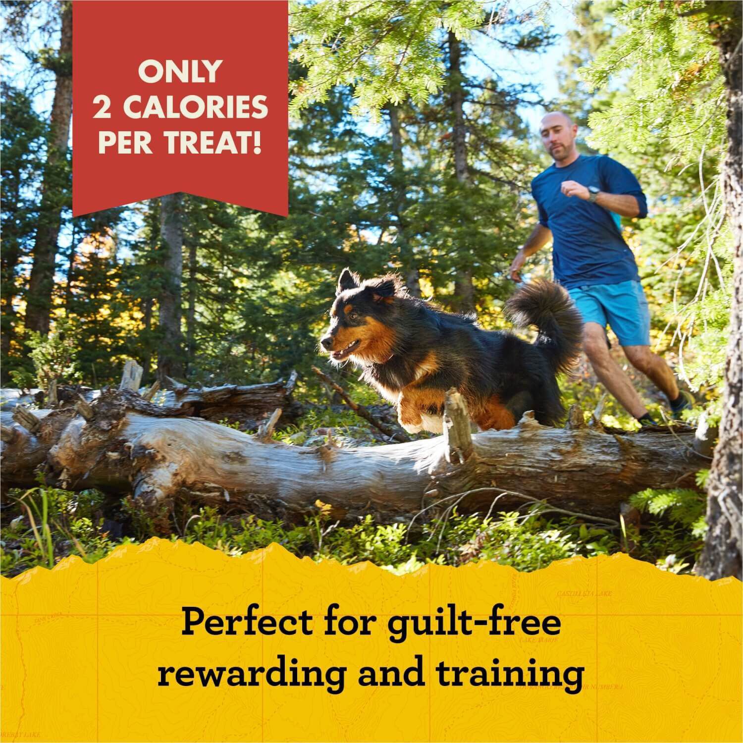 Zuke's Mini Naturals Beef Recipe Dog Training Treats