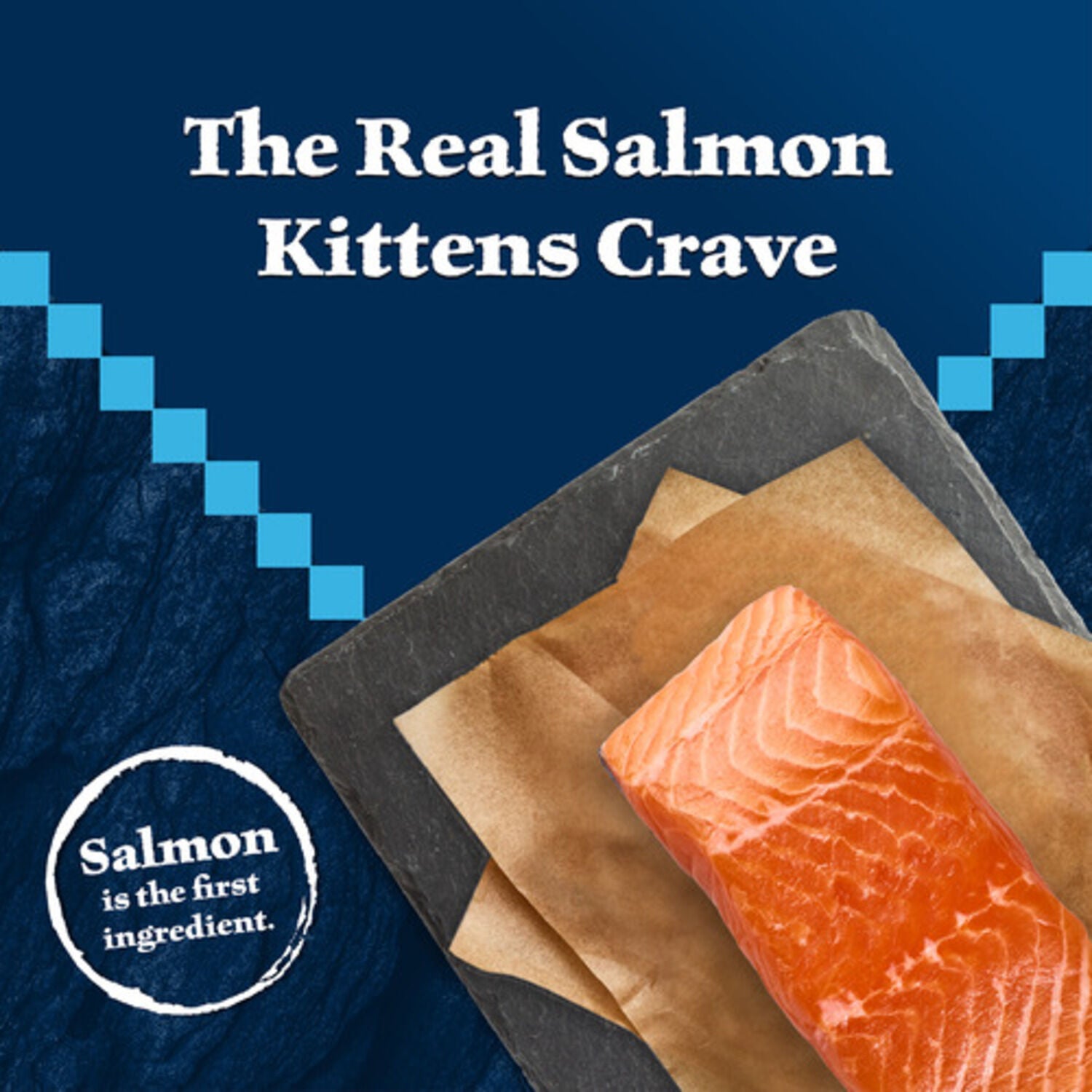 Blue Buffalo Wilderness Kitten High-Protein & Grain-Free Salmon Recipe Dry Cat Food, 5-Lb Bag