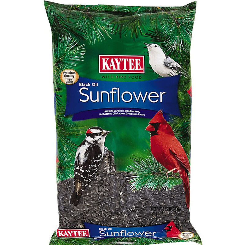 Black Oil Sunflower Wild Bird Food