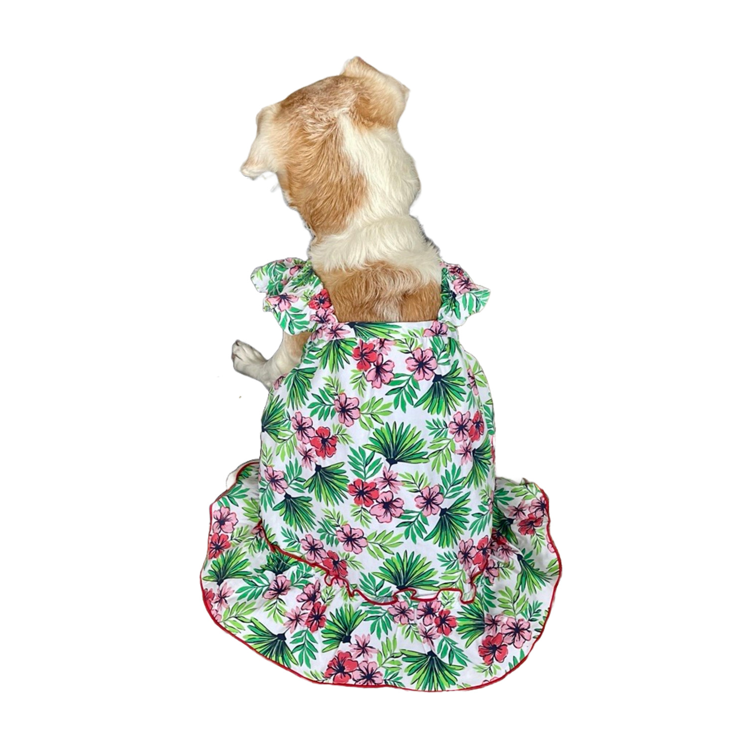 Bailey & Bella Multi-Colored Tropical Ruffle Dog Dress