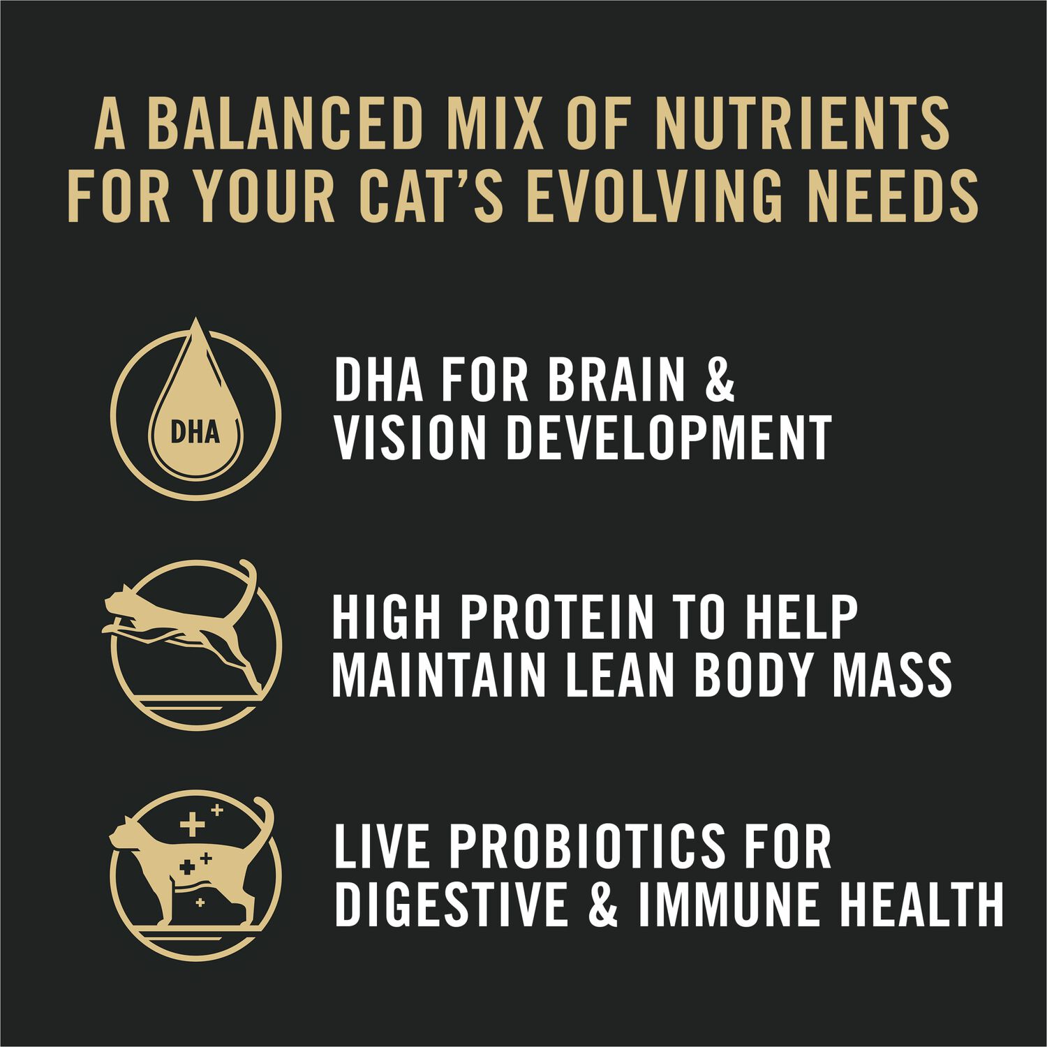 Purina Pro Plan All Life Stages High Protein Dry Cat Food, Chicken And Rice Recipe, 3.2-Lb Bag