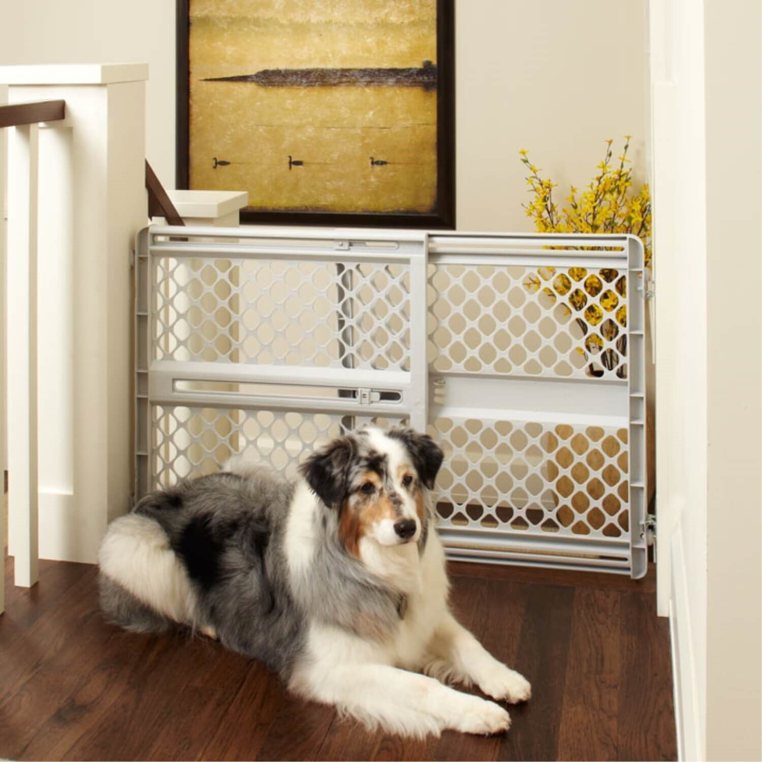 Mypet Universal Petgate Pre-Assembled Dog Gate, Light Gray, 26"