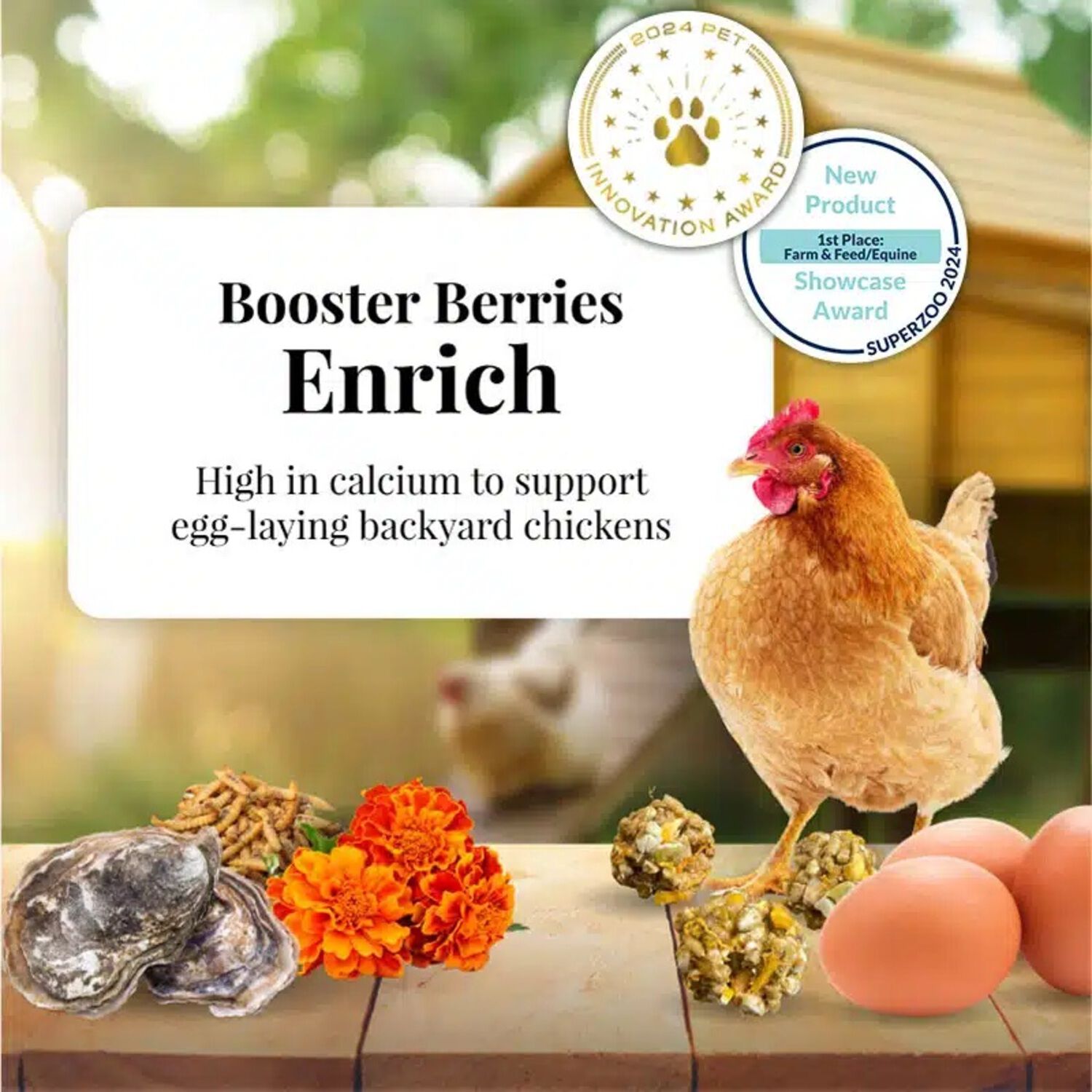 Lafeber Booster Berries Enrich Chicken Supplement, 10Oz