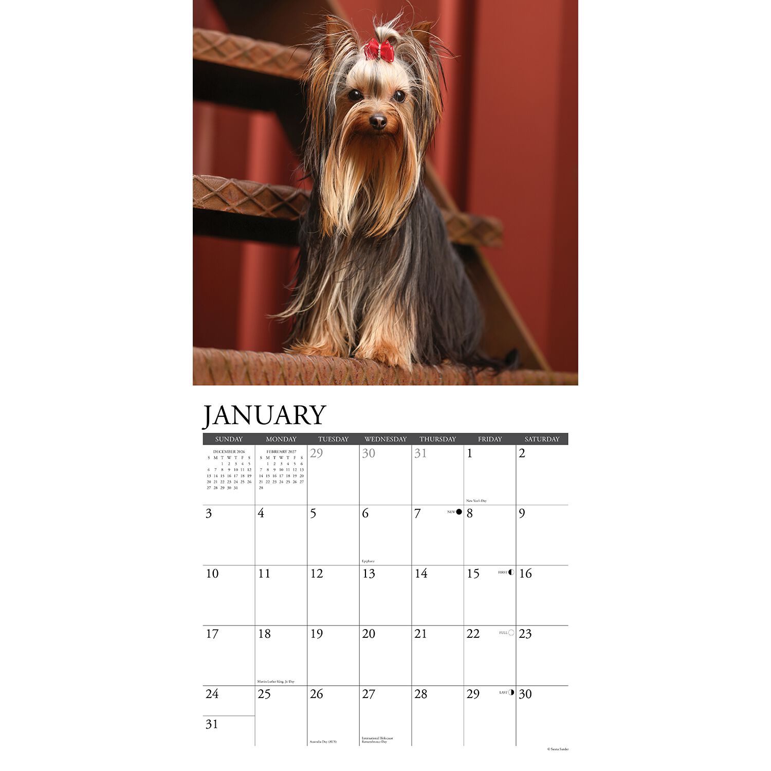 Willow Creek Press Just Yorkies 2027 Wall Calendar