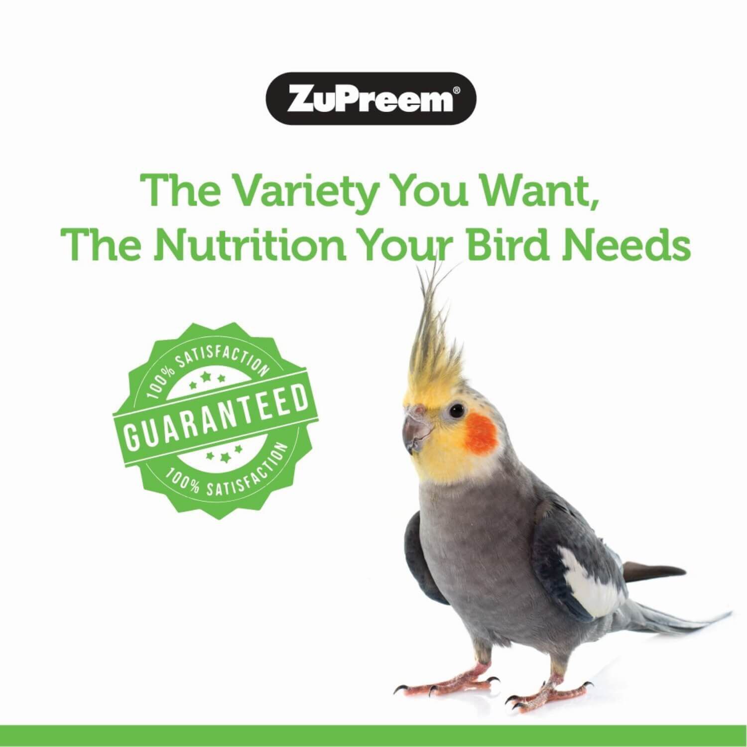 Zupreem Natural With Added Vitamins Bird Food For Medium Birds