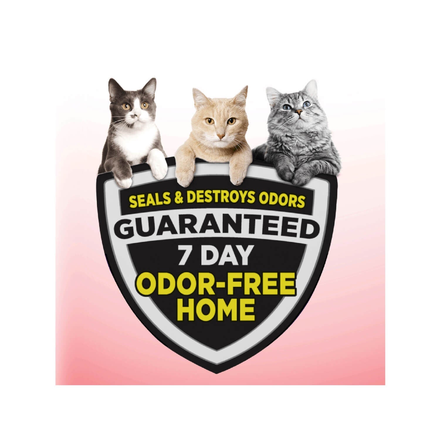 Arm & Hammer Clump & Seal Multi-Cat Odor Controlling Cat Litter