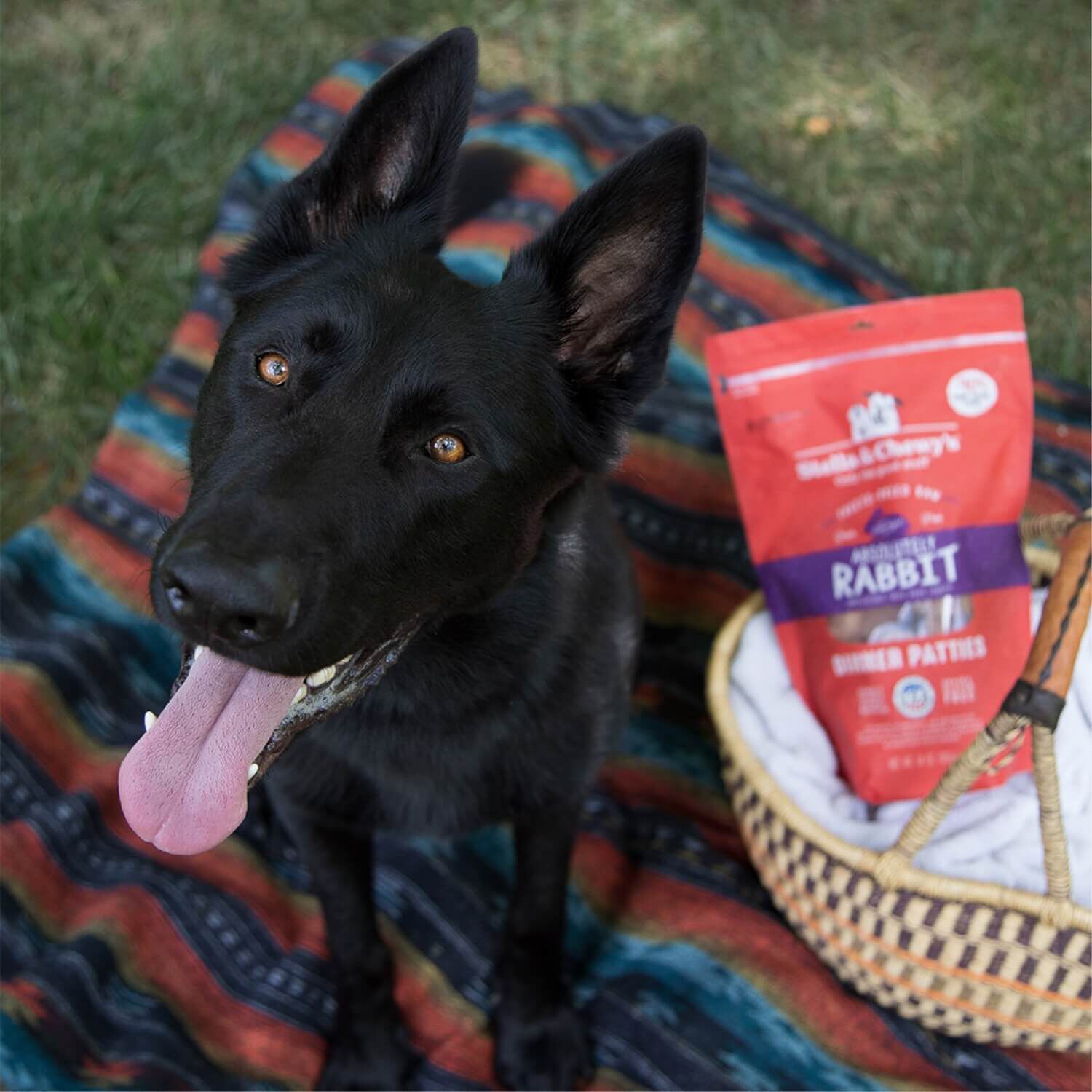 Stella & Chewy's Freeze Dried Absolutely Rabbit Dinner Patties Dog Food
