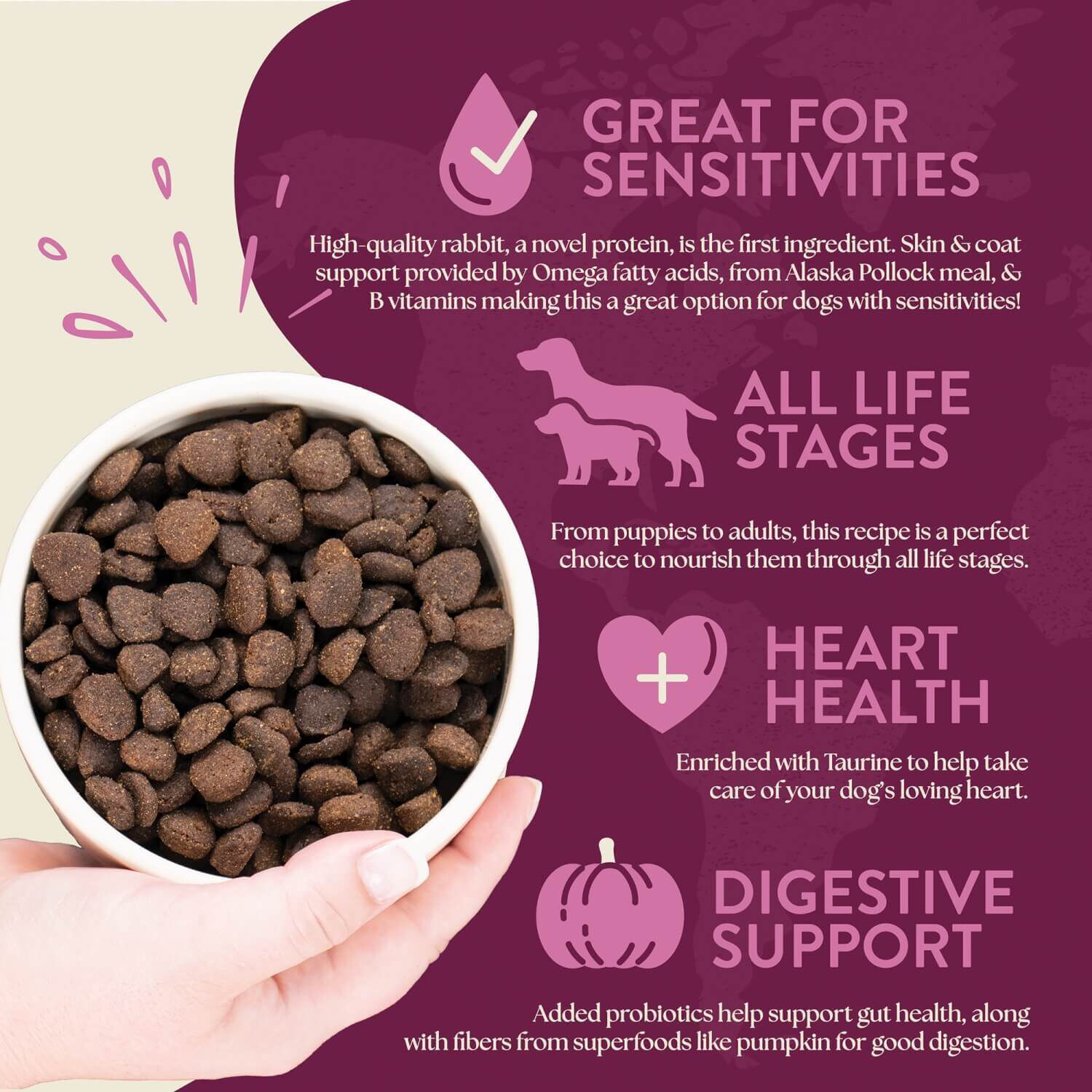 Venture Rabbit Meal & Pumpkin Earthborn Holistic Pet Food 25lb Pet