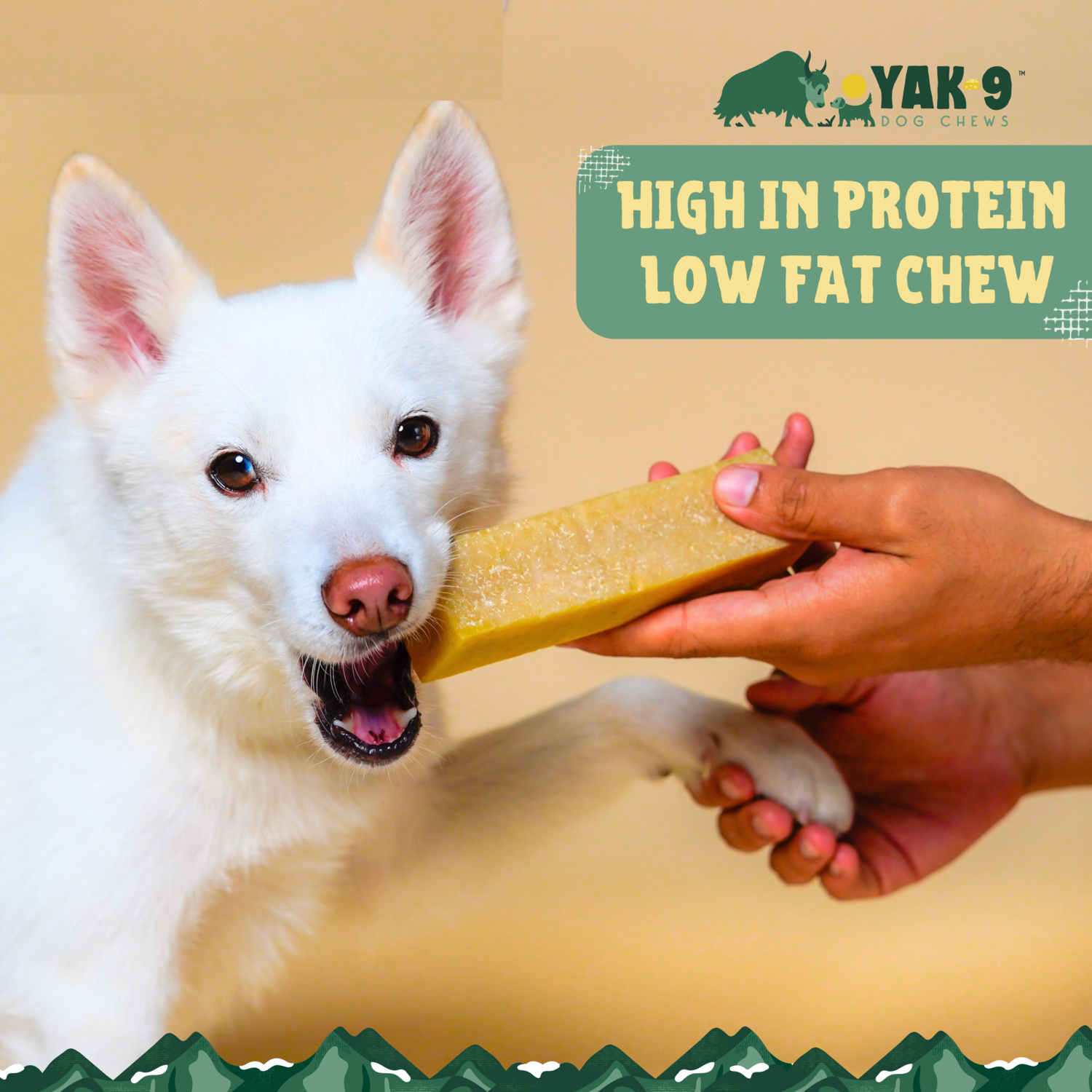 Yak9 Chews Natural Yak Cheese Chews Dog Treats, Pumpkin, Small, 3-Pack