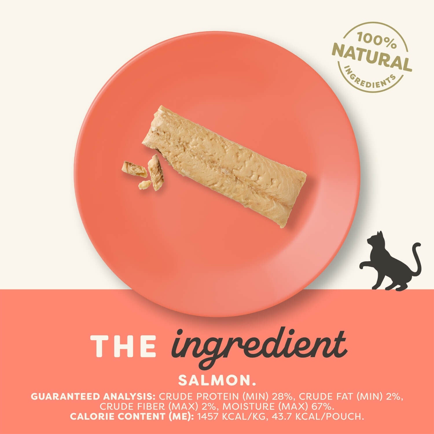 Applaws Whole Salmon Filet Cat Treat, 1.06-Oz.