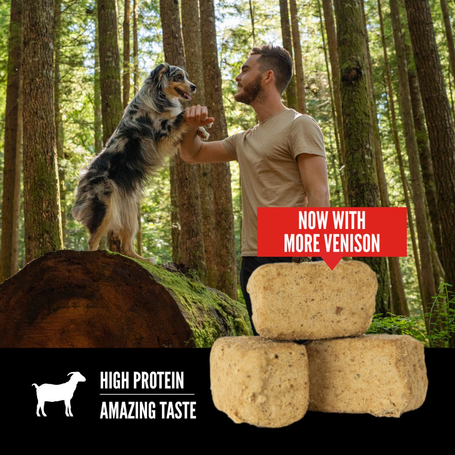Orijen Tundra Recipe Grain-Free High-Protein Freeze-Dried Dog Treats, 3.25-Oz Bag