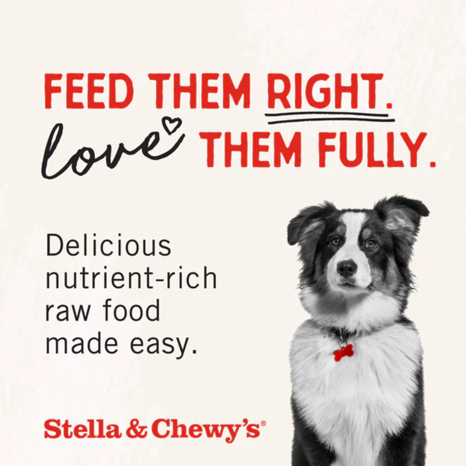Stella & Chewy's Chicken Heart&nbsp;Freeze-Dried Raw Dog Treats, 11.5-Oz. Bag