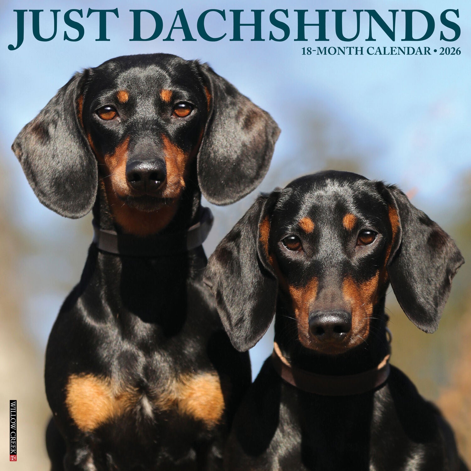 Willow Creek Press 2026 Dachshunds Wall Calendar