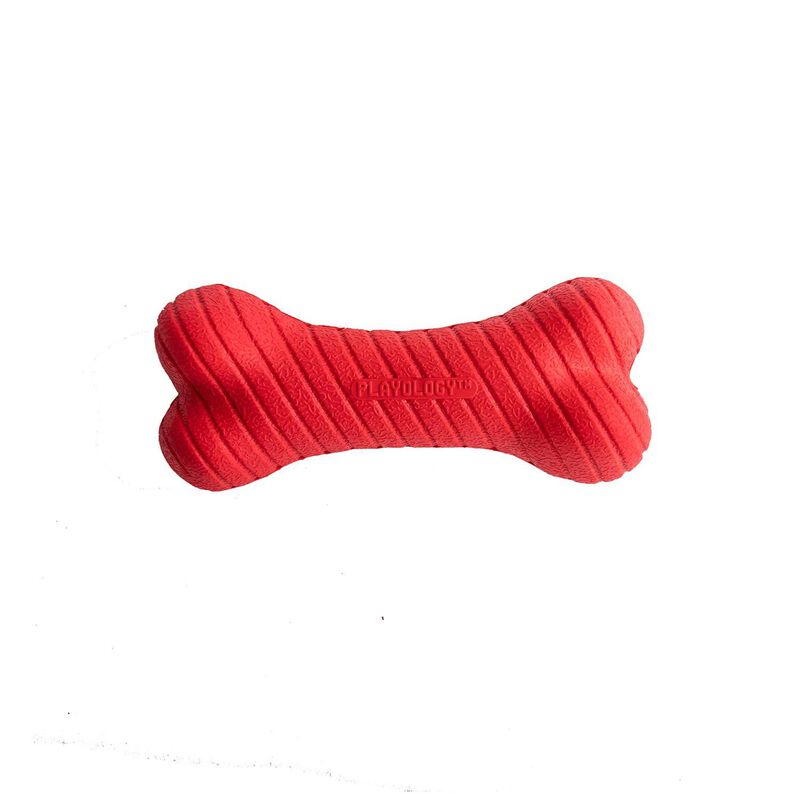 Playology All Natural Beef Scented Dual Layer Bone Dog Toy