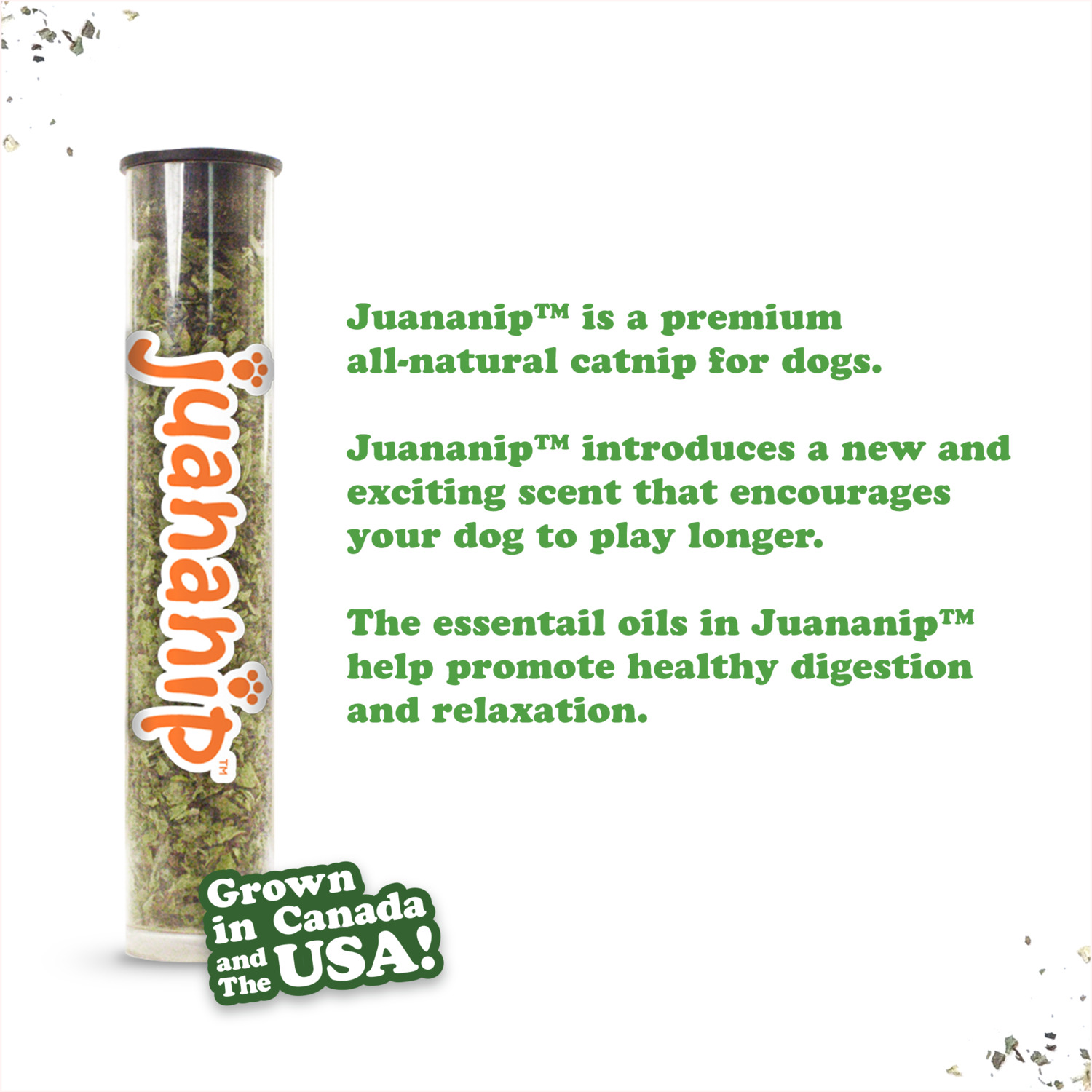 Doggijuana Tuffer Chewer Mini Pupcorn Durable Catnip Filled Dog Toy