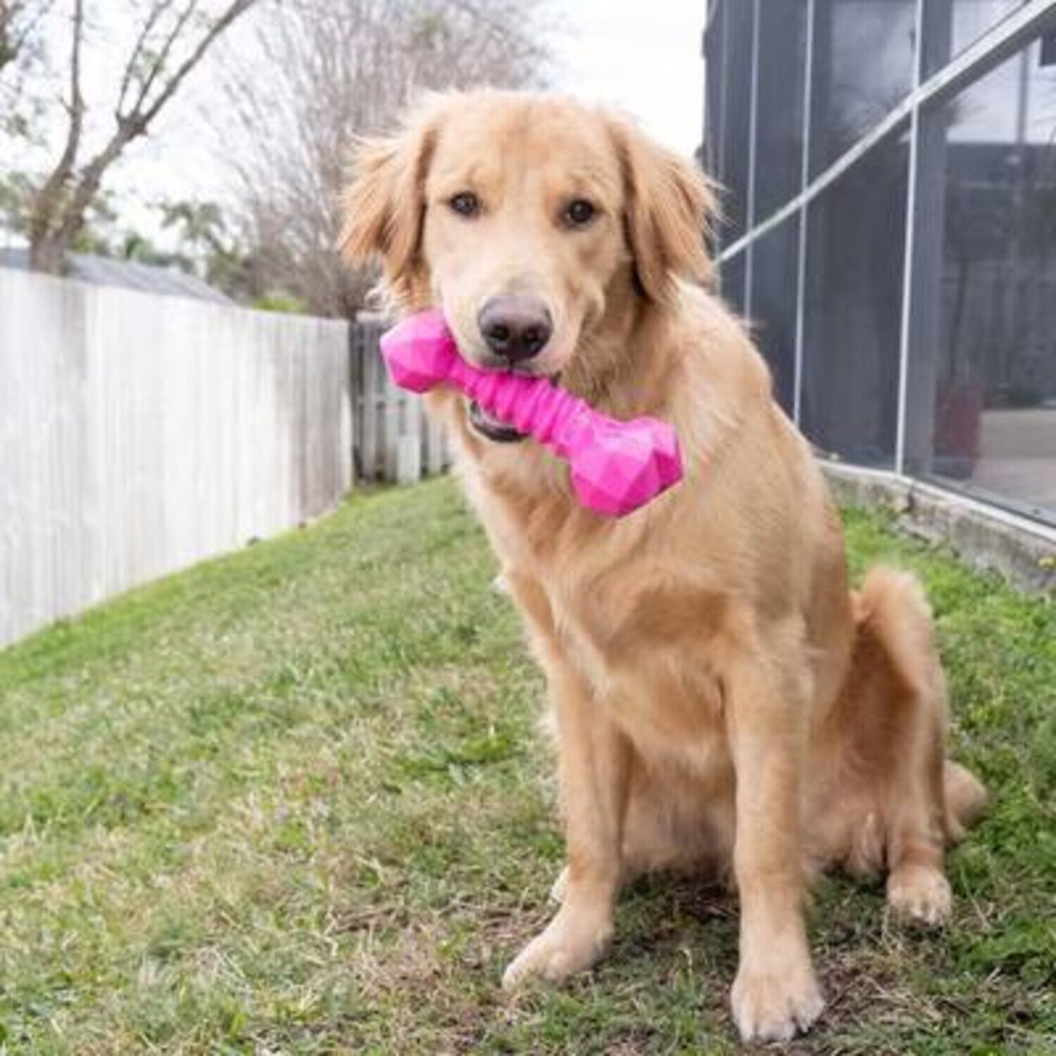 Chews Hues Pink Short Bone Durable Squeaky Dog Toy For Medium To Large Sized Dogs