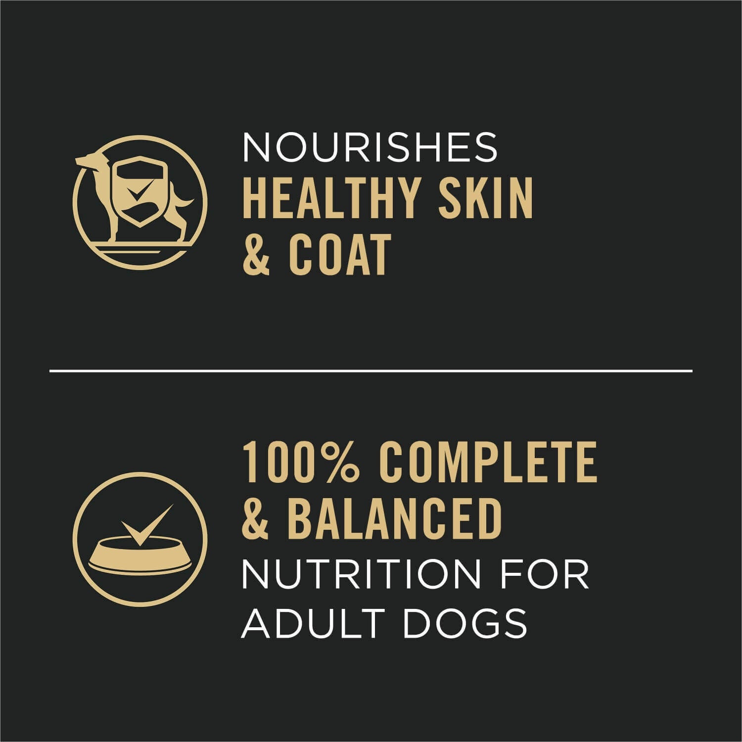 Purina Pro Plan High Protein Beef And Rice Pate Entree Wet Dog Food