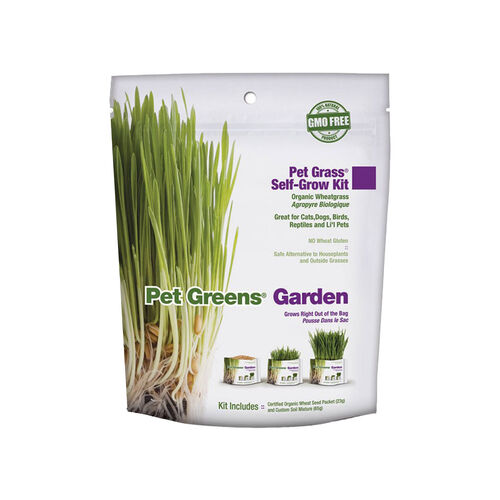 Pet Grass Self Grow Kit Garden