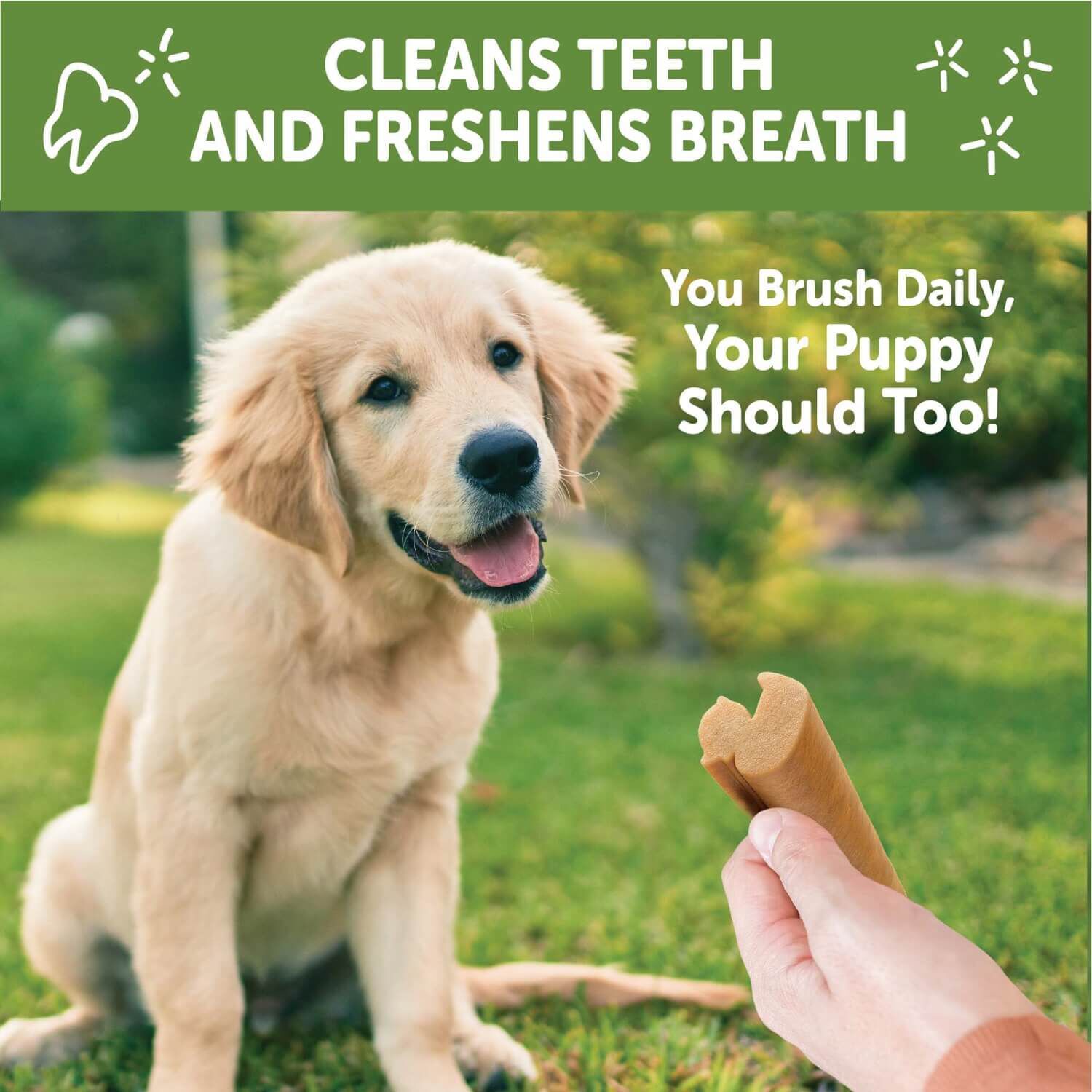 Whimzees Puppy Natural Grain Free Dental Chews For Dogs, Medium / Large Breed, 14 Count