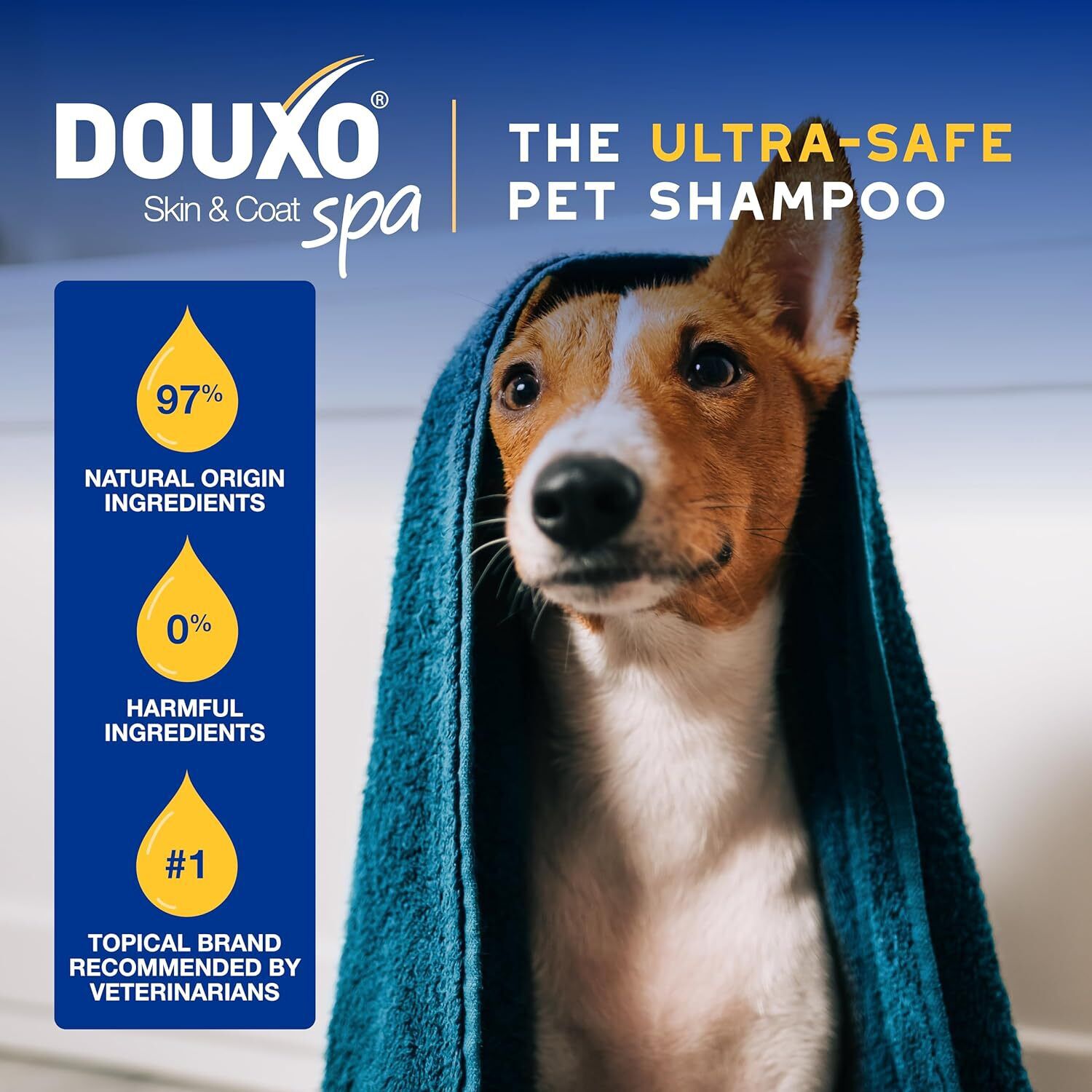 Douxo&reg; Skin & Coat Spa - Ultra-Safe Oatmeal Dog Conditioner, 16-Fl-Oz