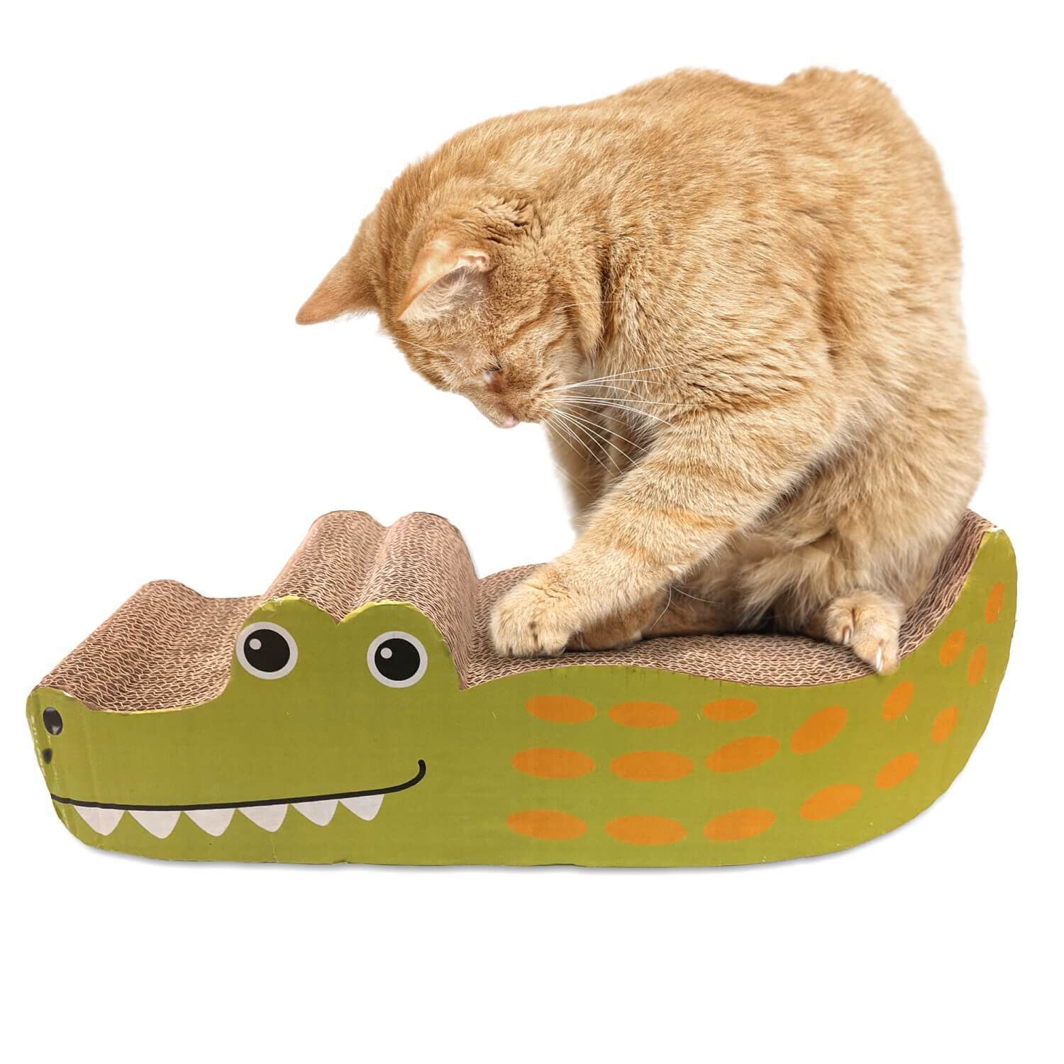 Alligator outlet cat bed