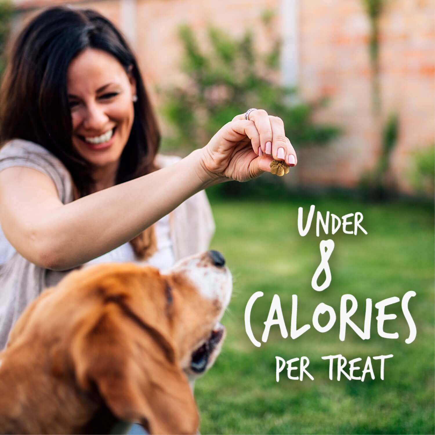 Fruitables Baked Pumpkin & Apple Flavor Healthy Low Calorie Dog Treats