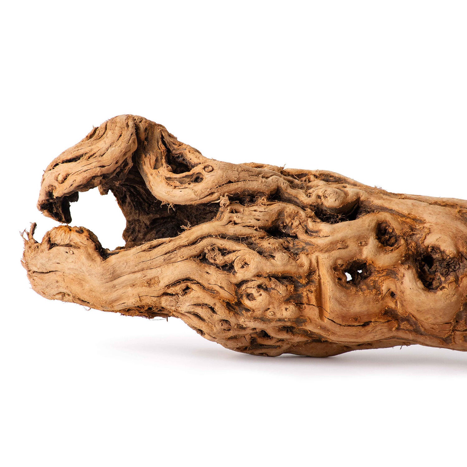 Gal&aacute;pagos Burro Wood, Grapevine Hollow Branch, Natural, 19-24In
