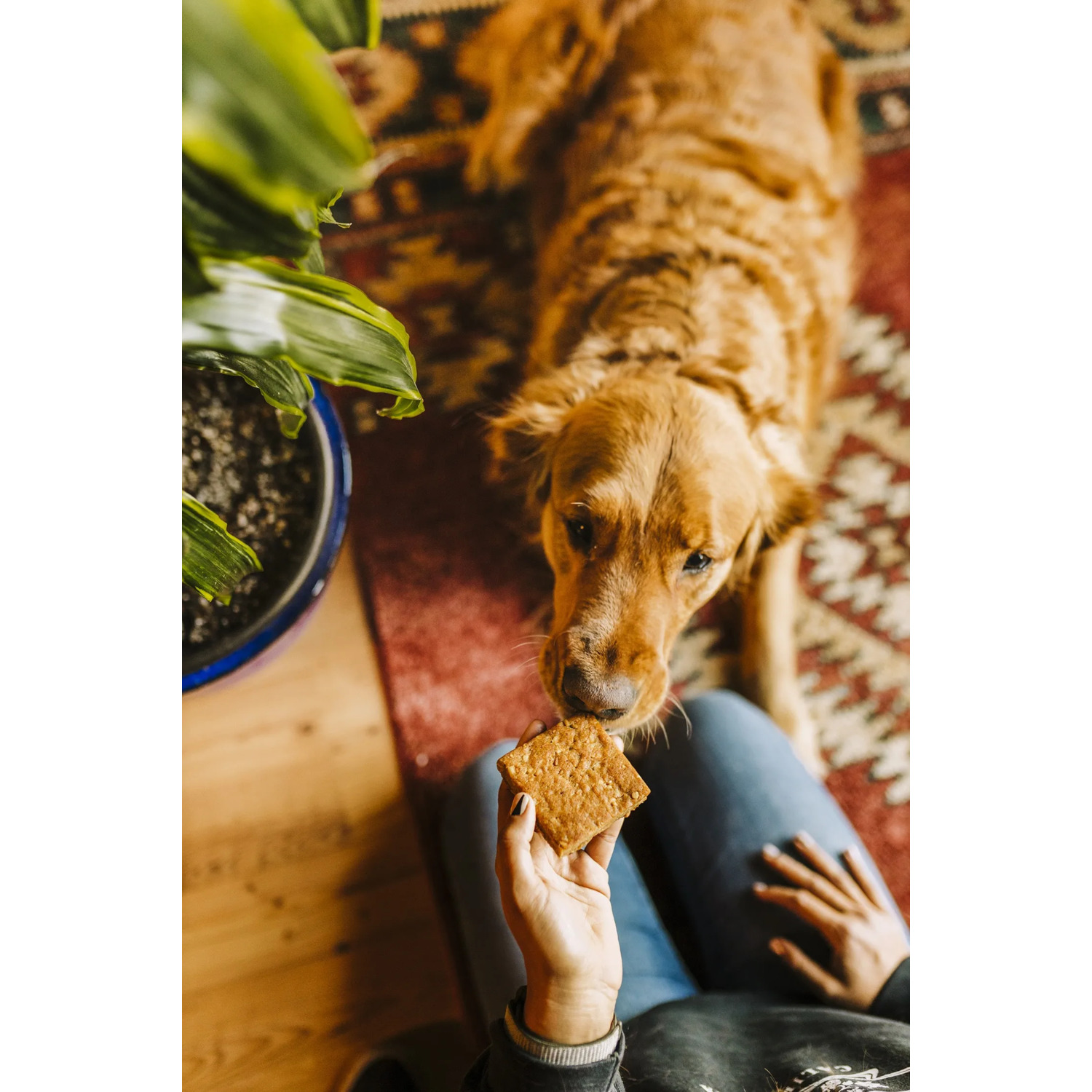 Heavenly Hounds Peanut Butter Relaxation Squares Dog Chews, Hemp-Free Calming Dog Snacks, 2-Oz