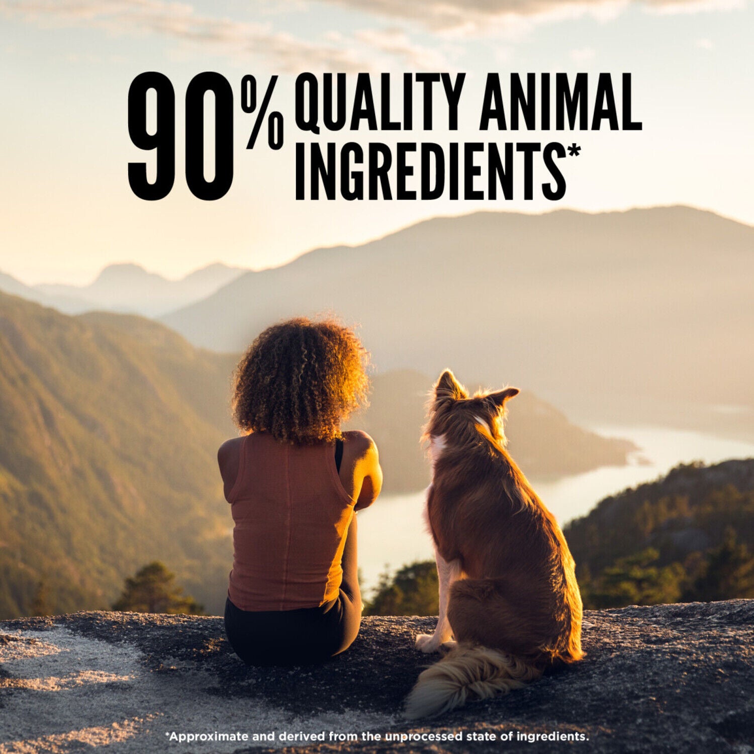 Orijen Grain-Free High-Protein Freeze-Dried Dog Food & Topper, Original Recipe, 16-Oz