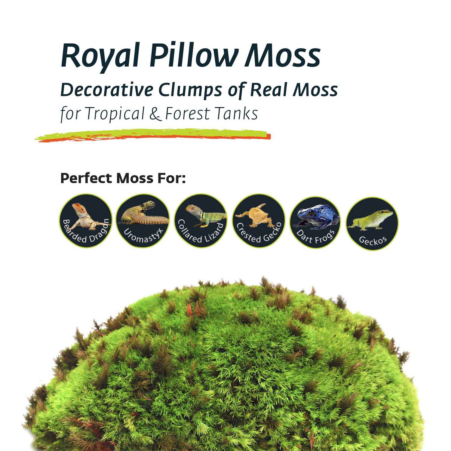 Gal&aacute;pagos Royal Pillow Moss Reptile And Terrarium Substrate, Fresh Green, 8Qt Bag