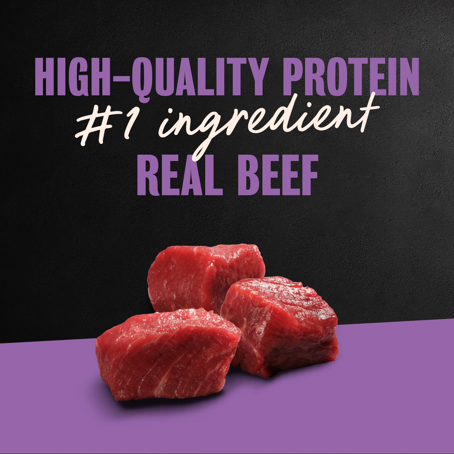 Cesar Filet Mignon & Porterhouse Steak Flavors Variety Pack Wet Dog Food, 3.5-Oz 12 Pack