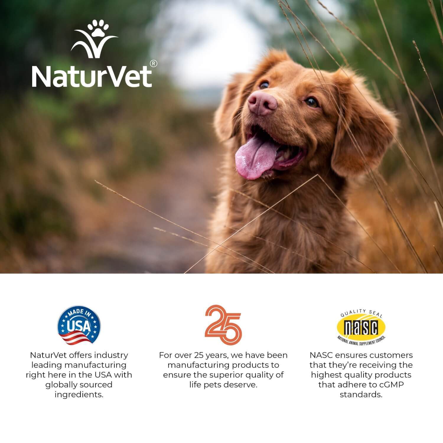 Naturvet All-In-One Vitamin Dog Soft Chews