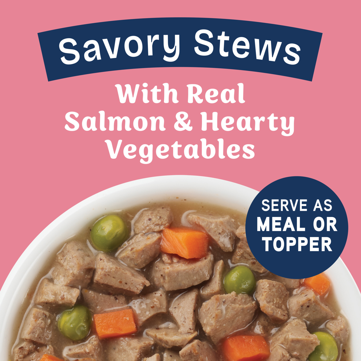 Natural Balance Health Protection Wet Dog Food, Salmon Broth, Salmon, Pumpkin & Brown Rice Stew, 12.5-Oz Can