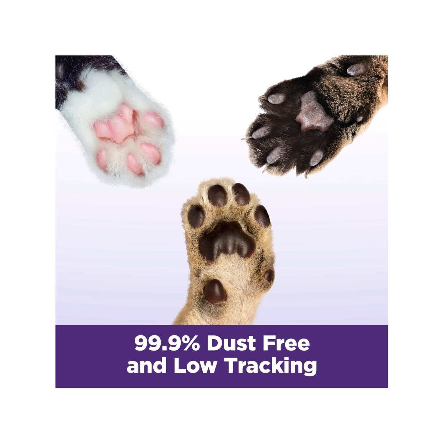 Arm & Hammer Slide Easy Clean-Up Multi-Cat Clumping Cat Litter