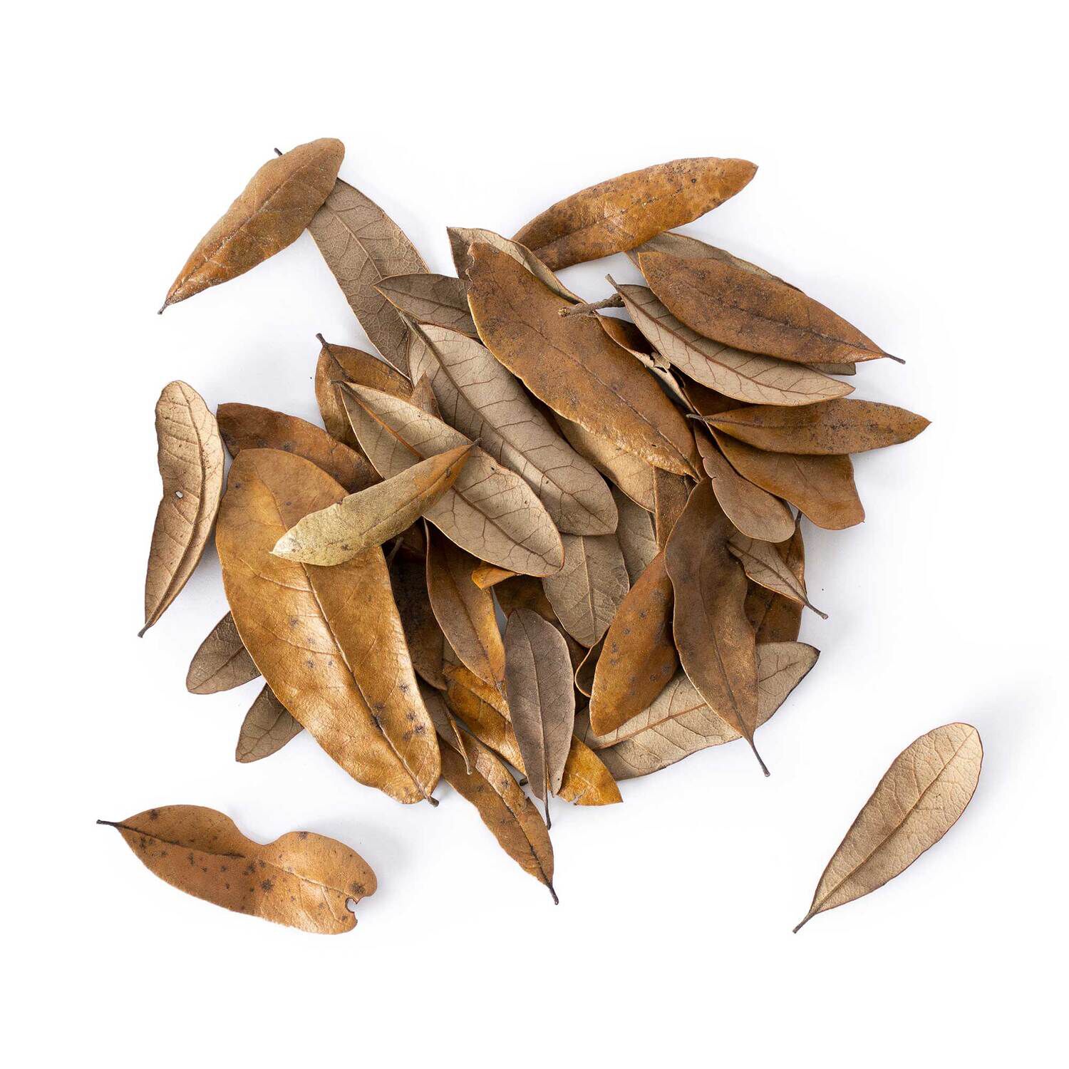 Gal&aacute;pagos Live Oak Leaves Habitat Substate, Natural, 4Qt Header Bag