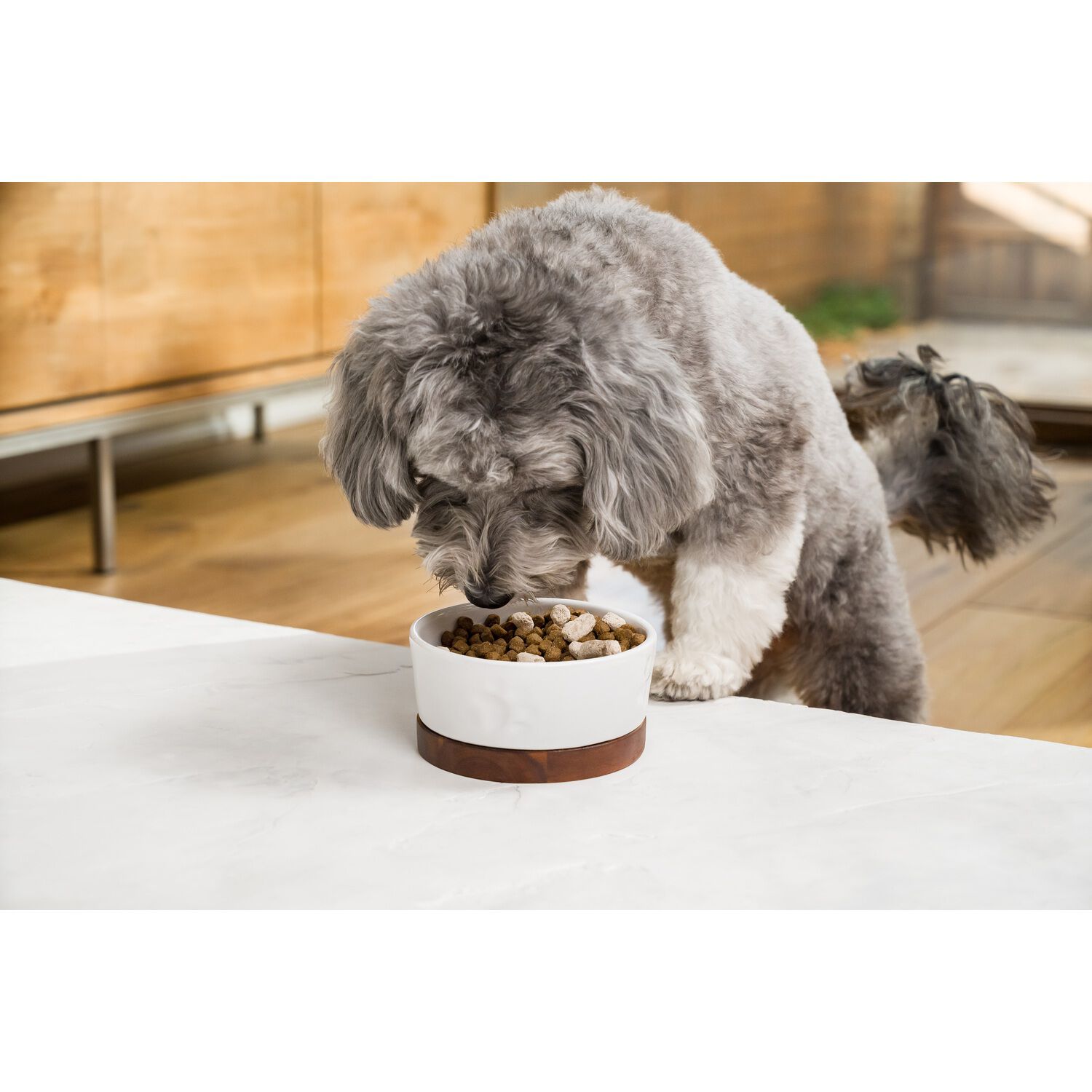 Open Farm Rawmix Tide & Terrain Grain Free Dry Dog Food With Freeze-Dried Raw Morsels, 3.5Lb