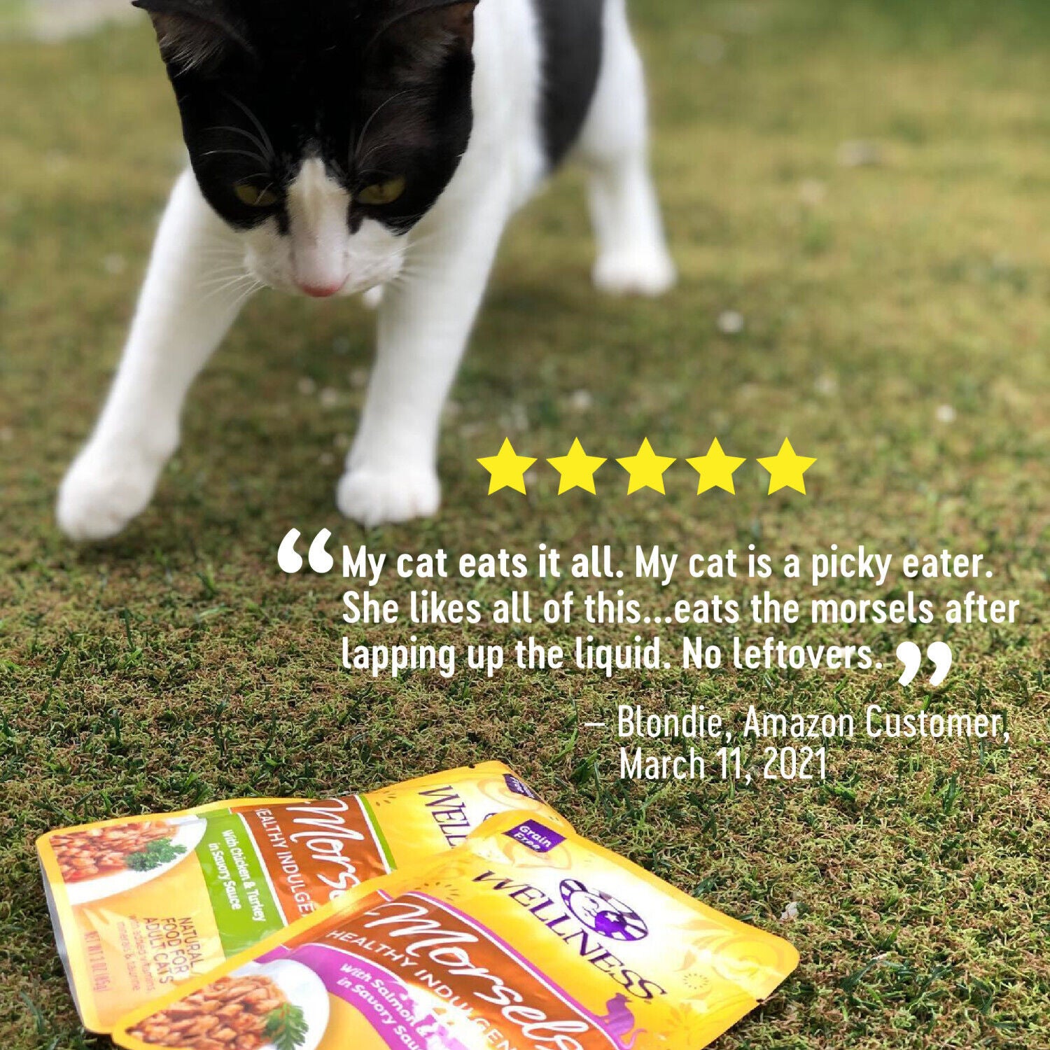 Wellness Healthly Indulgence Morsels Adult Wet Cat Food Chicken & Chicken Liver Recipe, Natural, Protein-Rich, Grain-Free, 3 Ounce Pouch