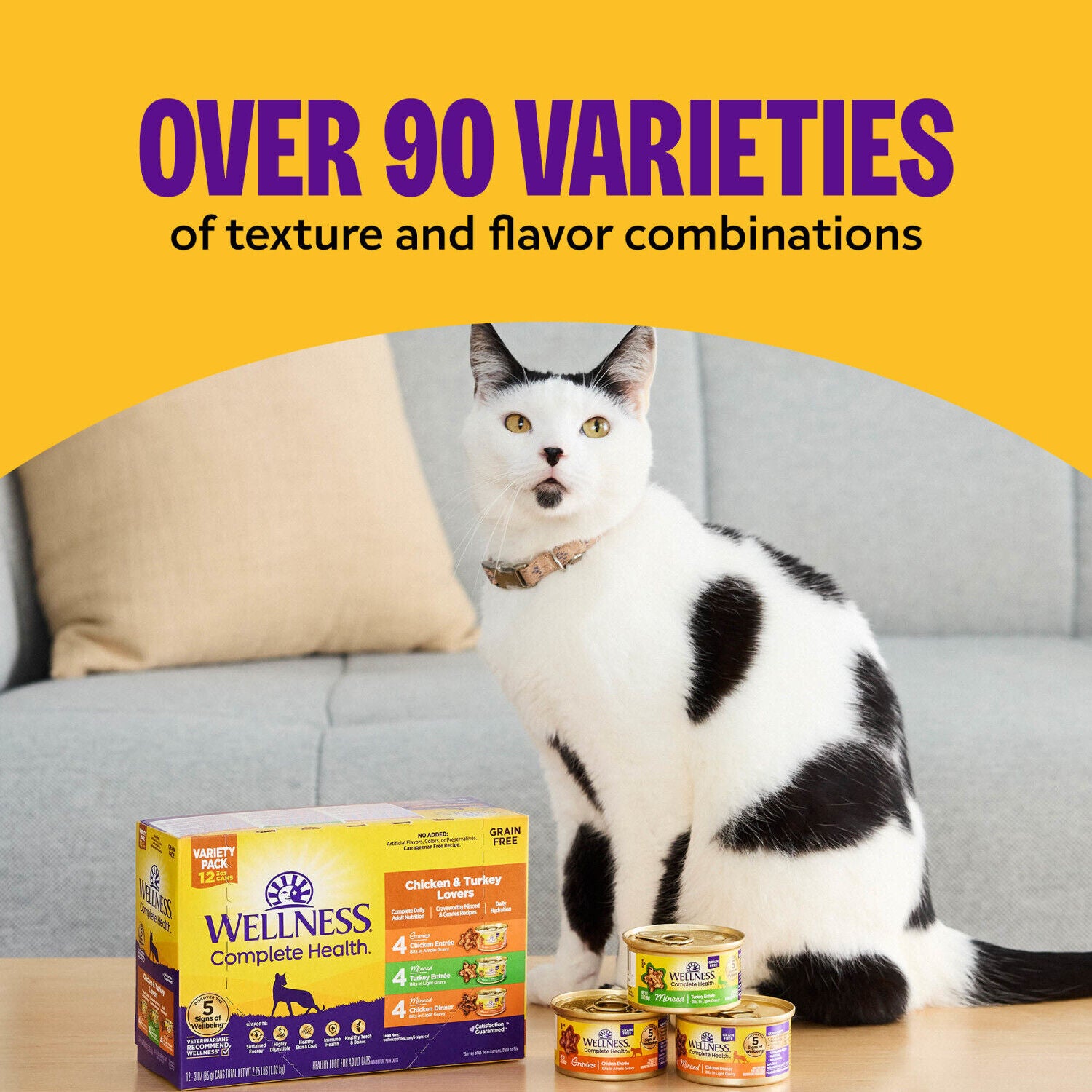 Wellness Complete Health Gravy Adult Wet Cat Food, Natural, Protein-Rich, Grain Free, 3 Ounce , Chicken Dinner