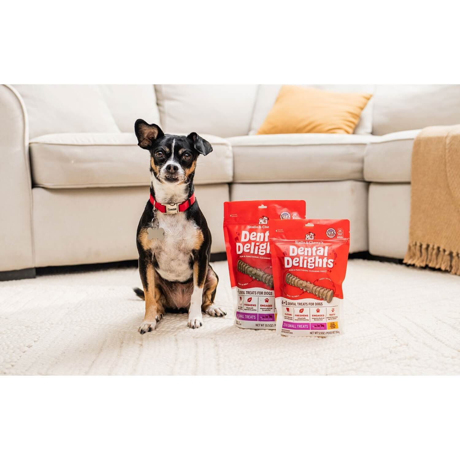 Stella & Chewy's Dental Delights Dog Treats, Extra Small, 44 Count