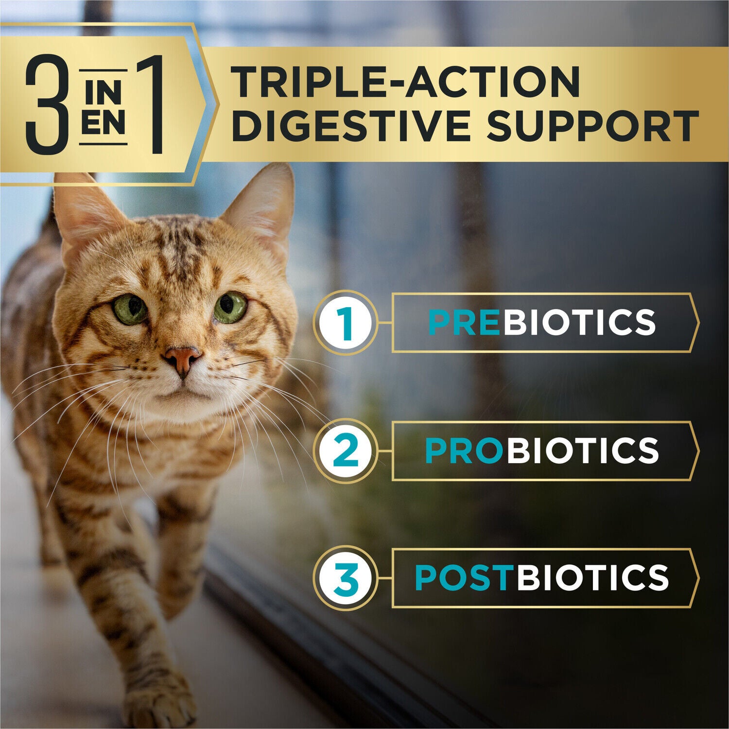Purina Pro Plan Advantedge Digestive Support Plus Adult Salmon And Rice Formula Dry Cat Food - 3-Lb. Bag