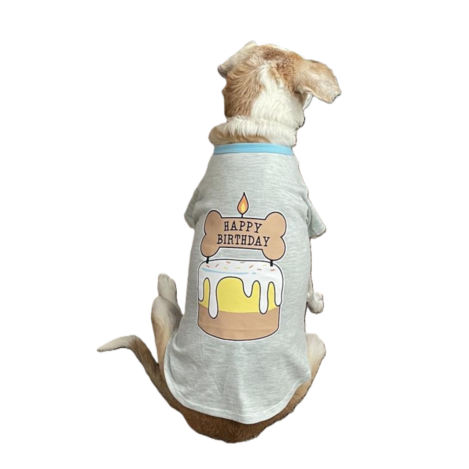 Bailey & Bella Gray Happy Birthday Dog T-Shirt