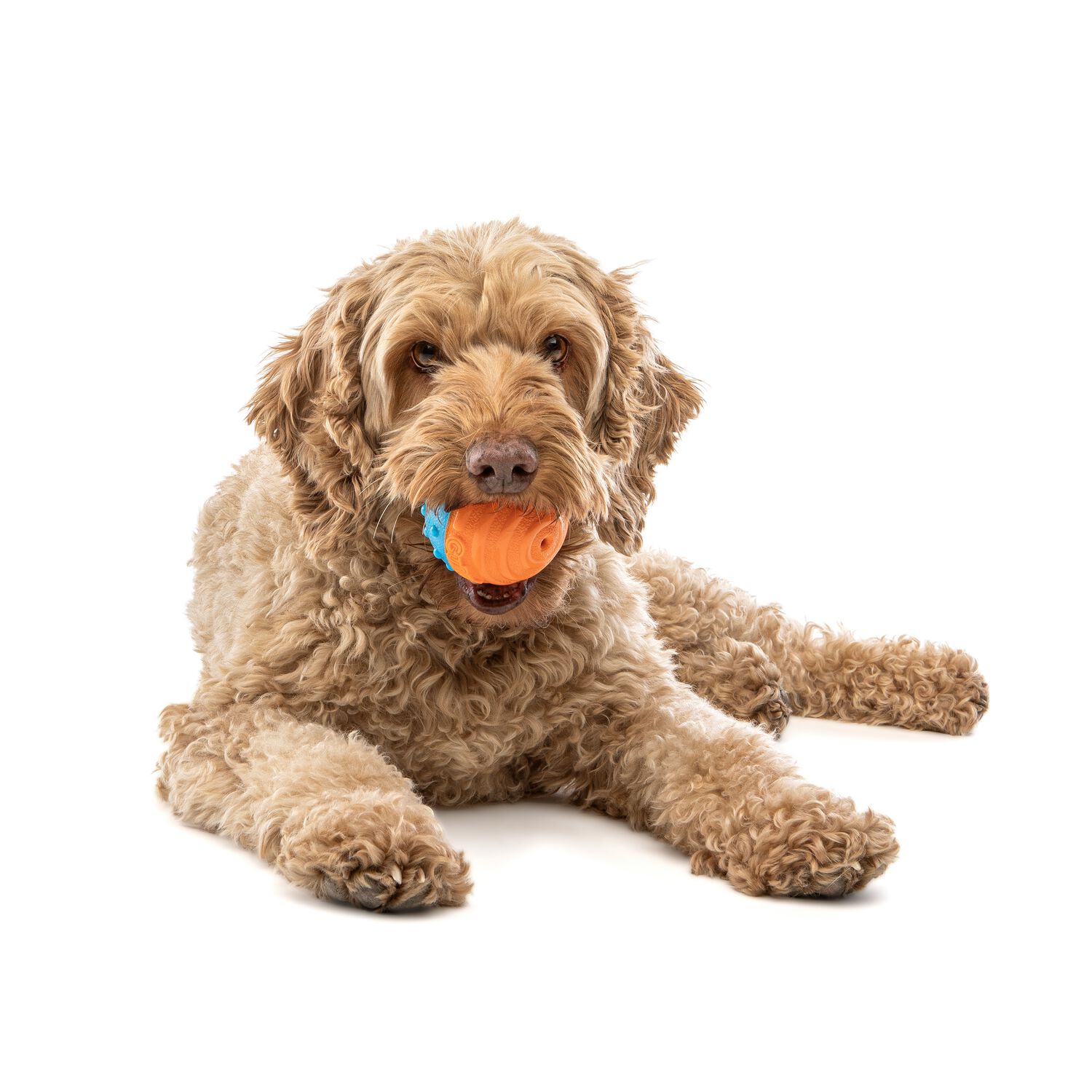Guru Crunch & Squeak Ball Dog Toy, 2 Pack