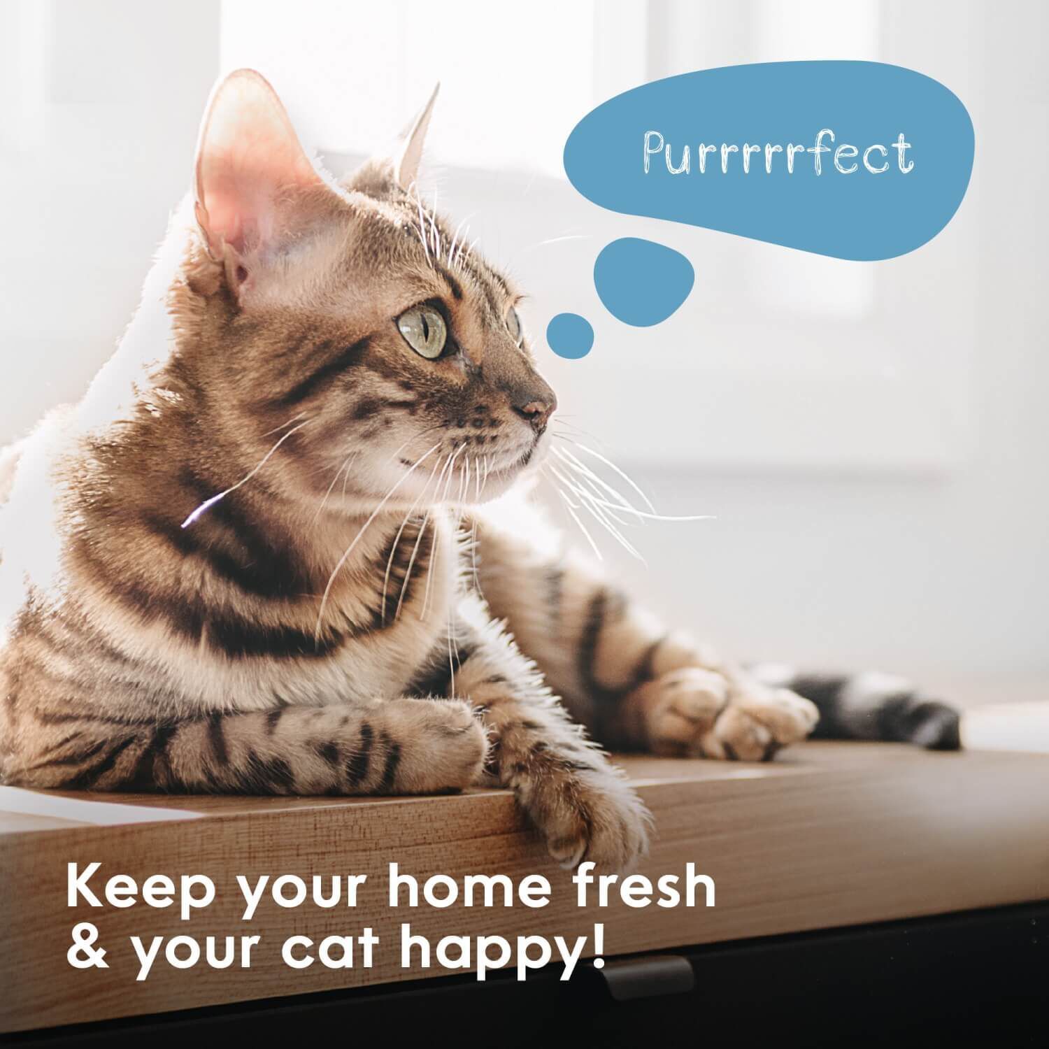 Litter Genie Plus Odor Controlling Cat Litter Waster Disposal System