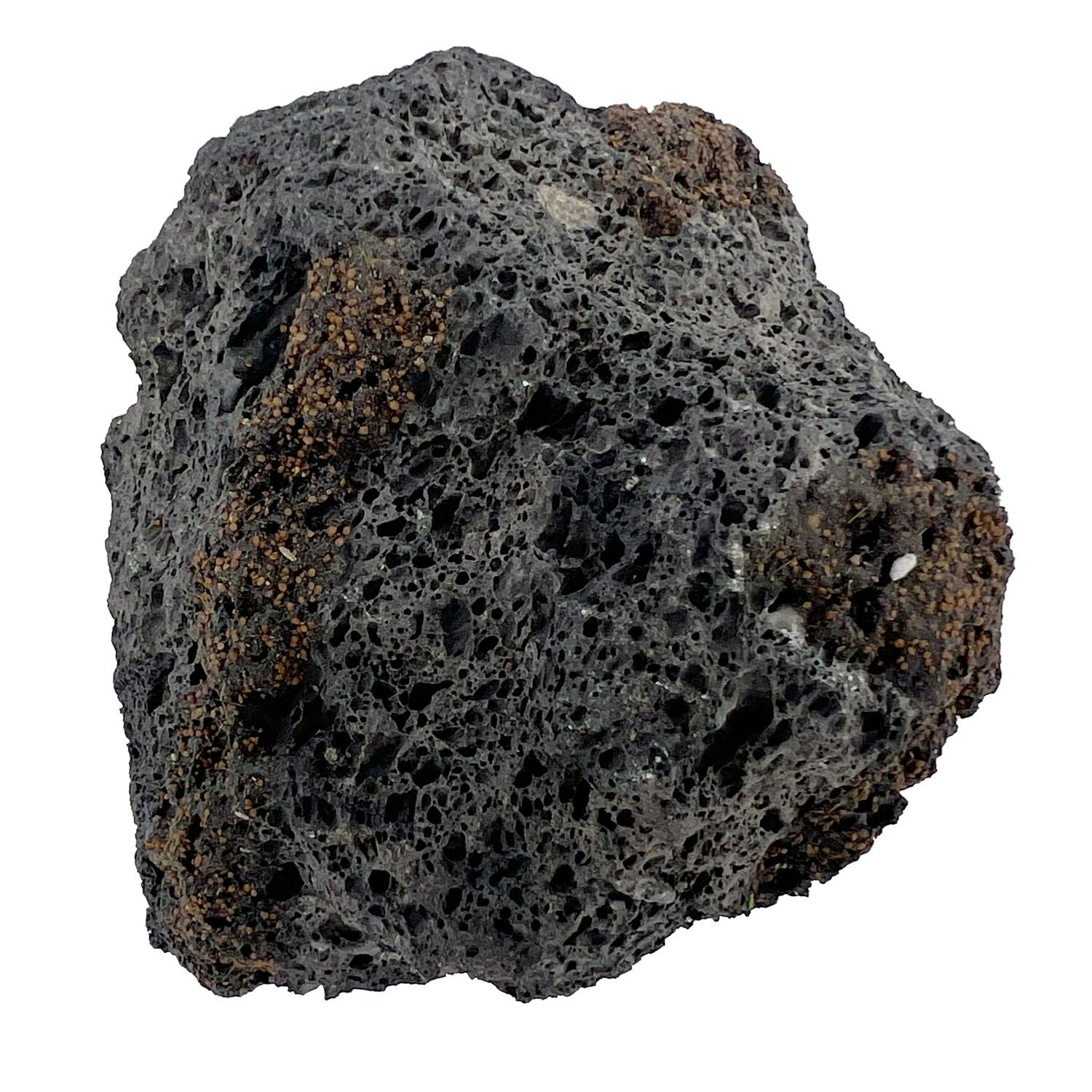 Penn-Plax Black Tide & Treasure Lava Rock Aquarium Decor